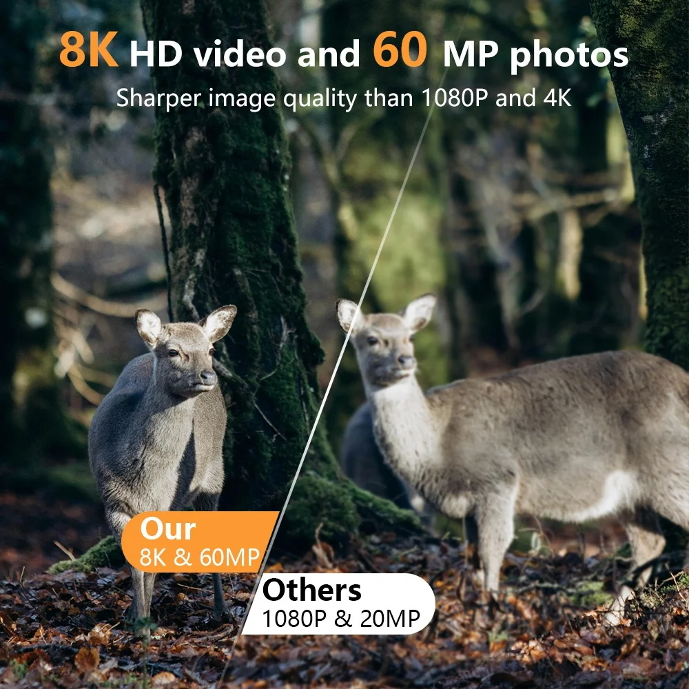 PR803W 8K WiFi Trail Camera -  - Trail Camera Infrared recension och pris