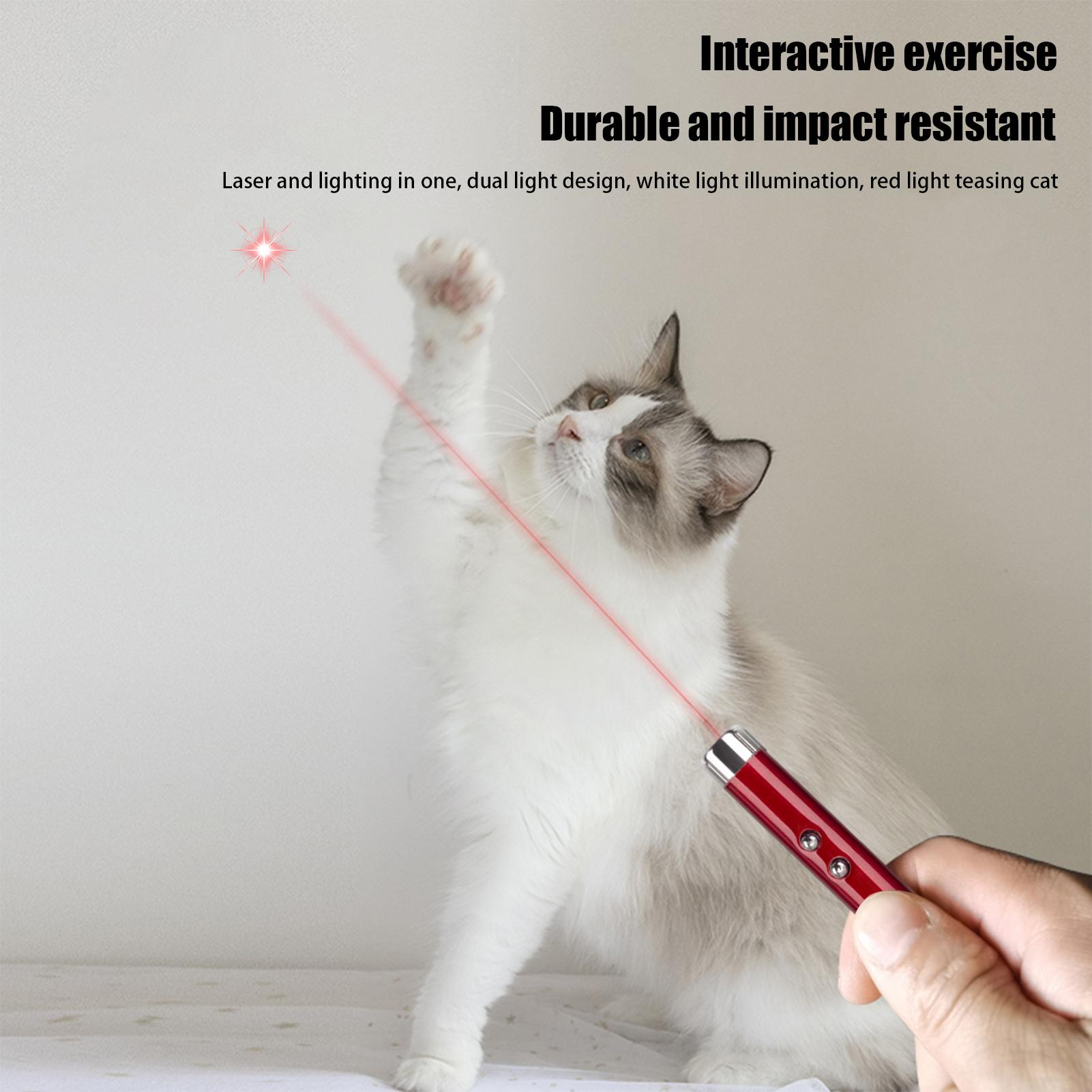 Hunting Cat Toys Pet Cat Teasi - Trail Camera Infrared recension och pris