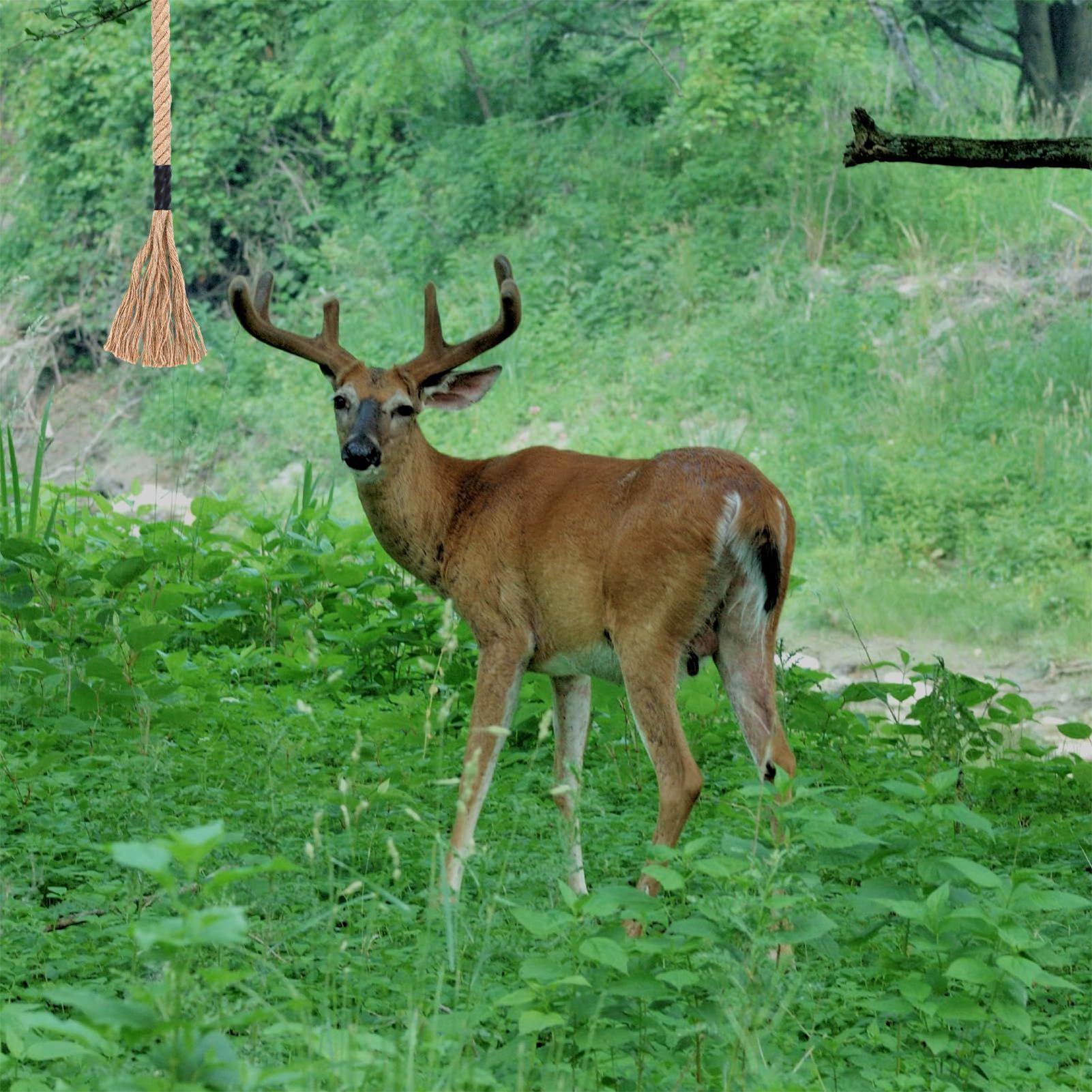 Deer Scrape Effective Long-Las - Deer Attractant Scent recension och pris