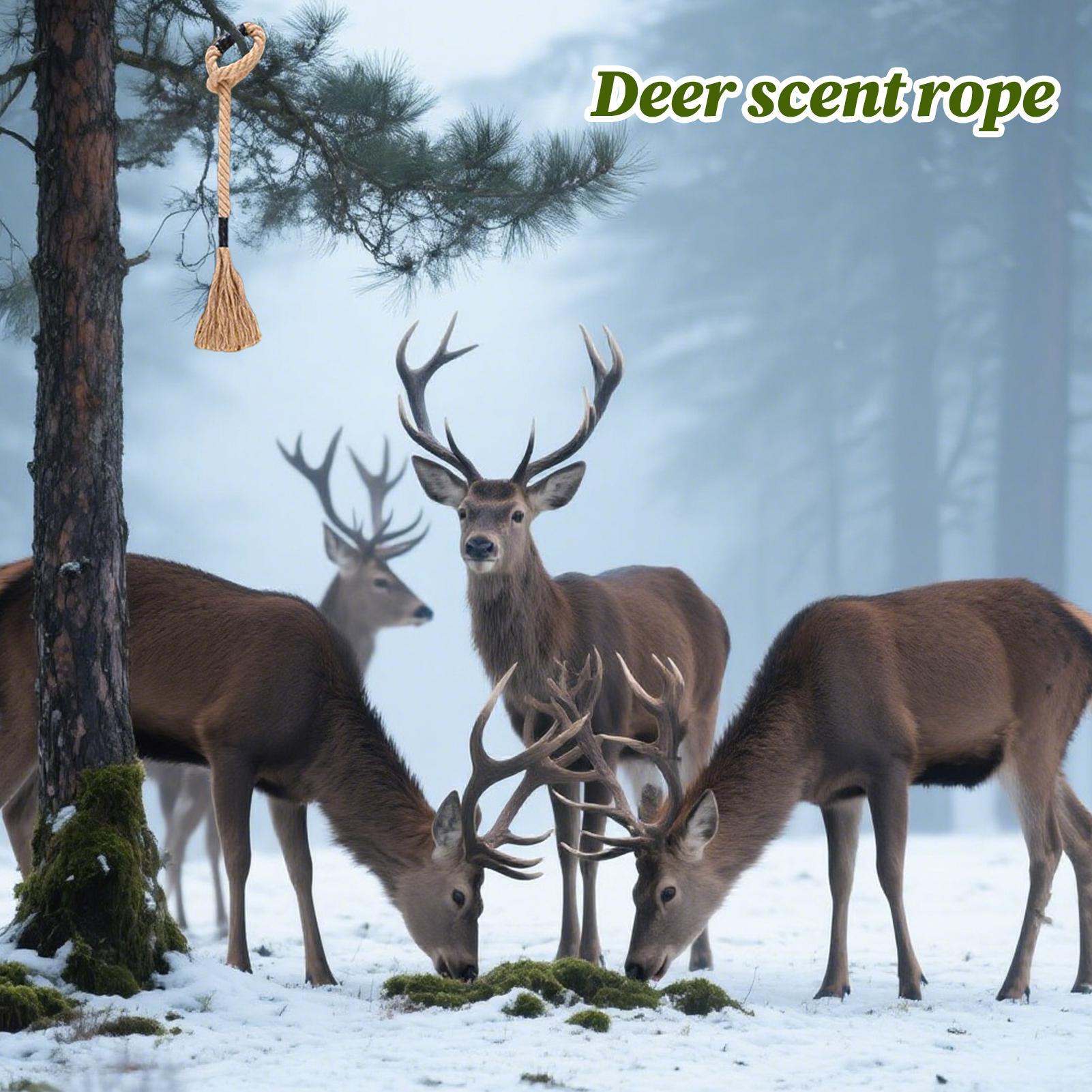 Deer Scrape Effective Long-Las - Deer Attractant Scent recension och pris
